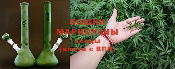 дурь Сосновый Бор