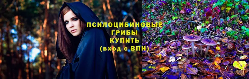 Псилоцибиновые грибы Cubensis  Лагань 